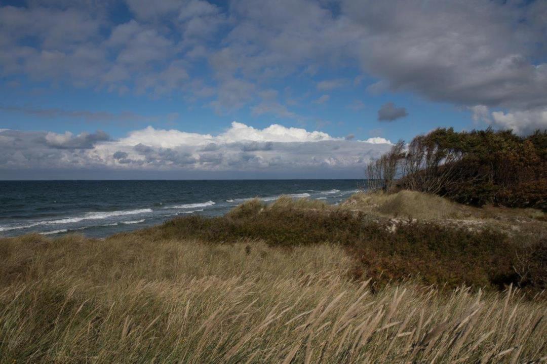 Studio 11 Im Haus Stranddistel, Modernes Studio Im 1 Og Fur 2 Personen In 징스트 외부 사진